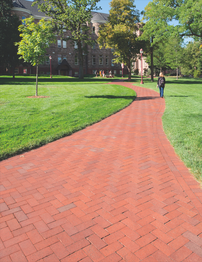 Brick paved walkway