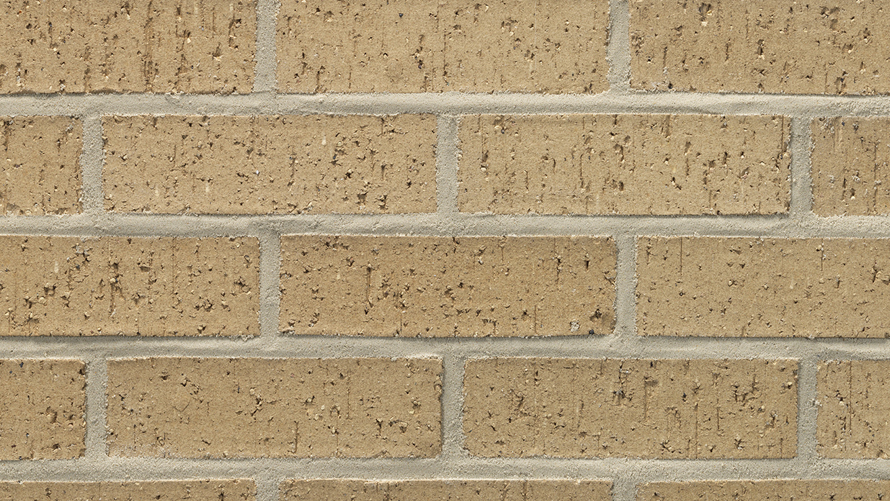 Castle Gray - Acme Brick