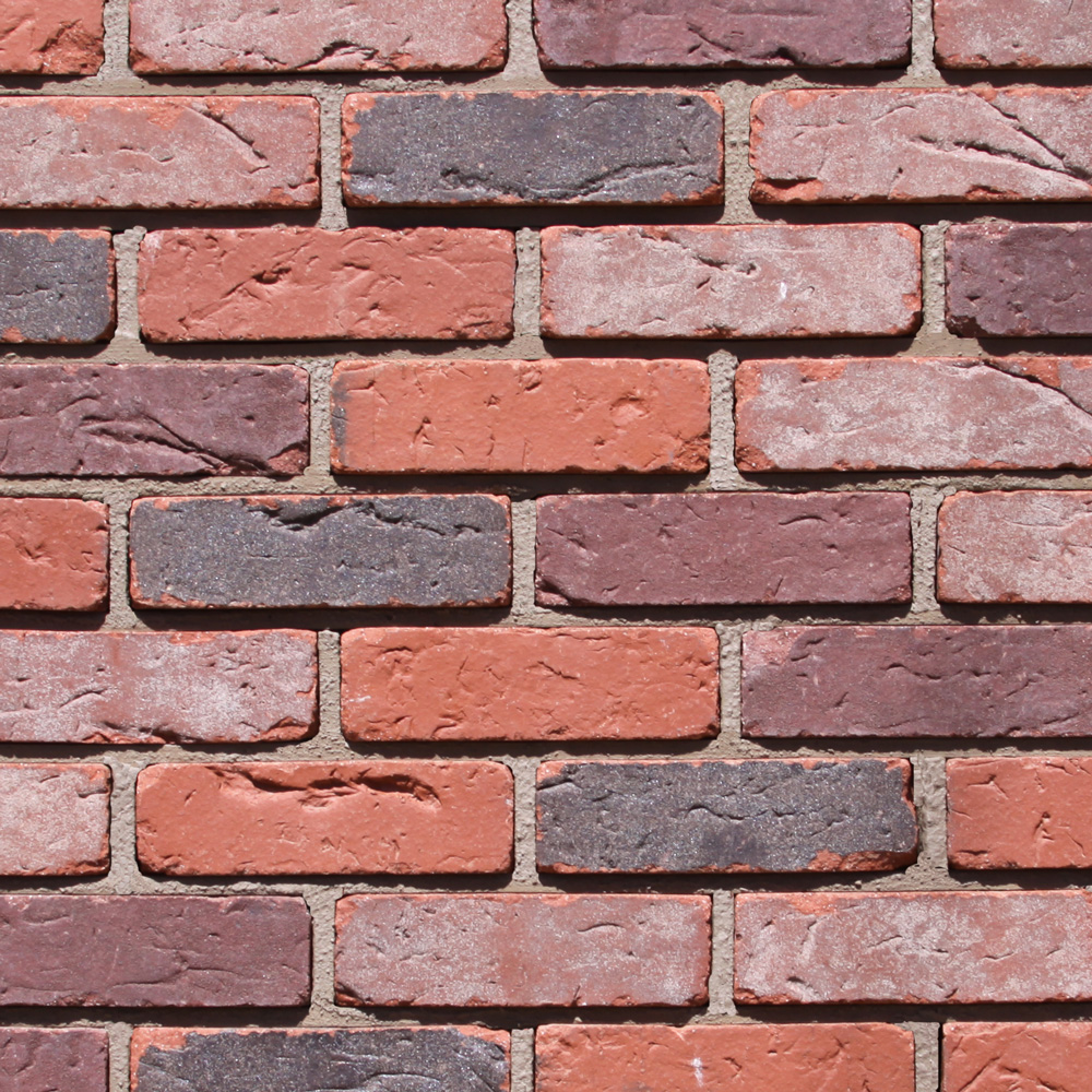 Pacific Clay 8-in x 3.75-in Common Split Red Clay Brick in the