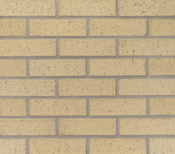 French Vanilla Light - Modular - Velour