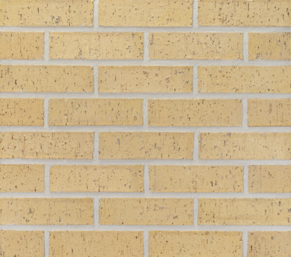 French Vanilla Medium - Modular - Velour