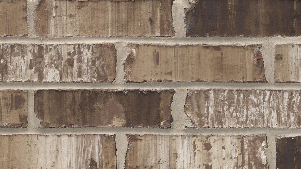 Sable Oak