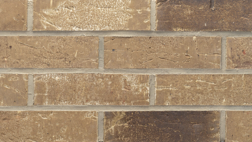Mocha Brown Antique