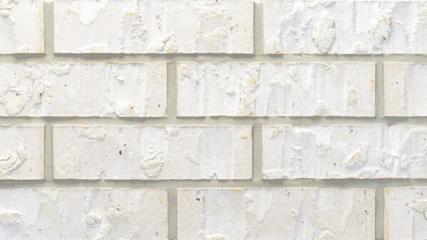 White Birch - King - Heritage
