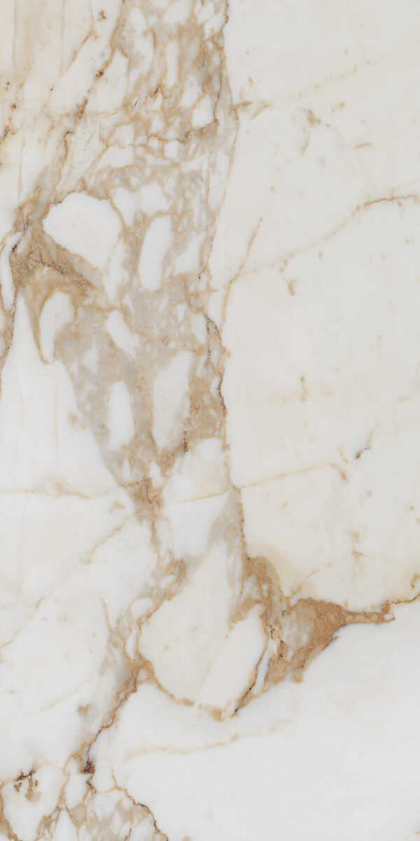 Classica Calacatta Gold 12 x 24