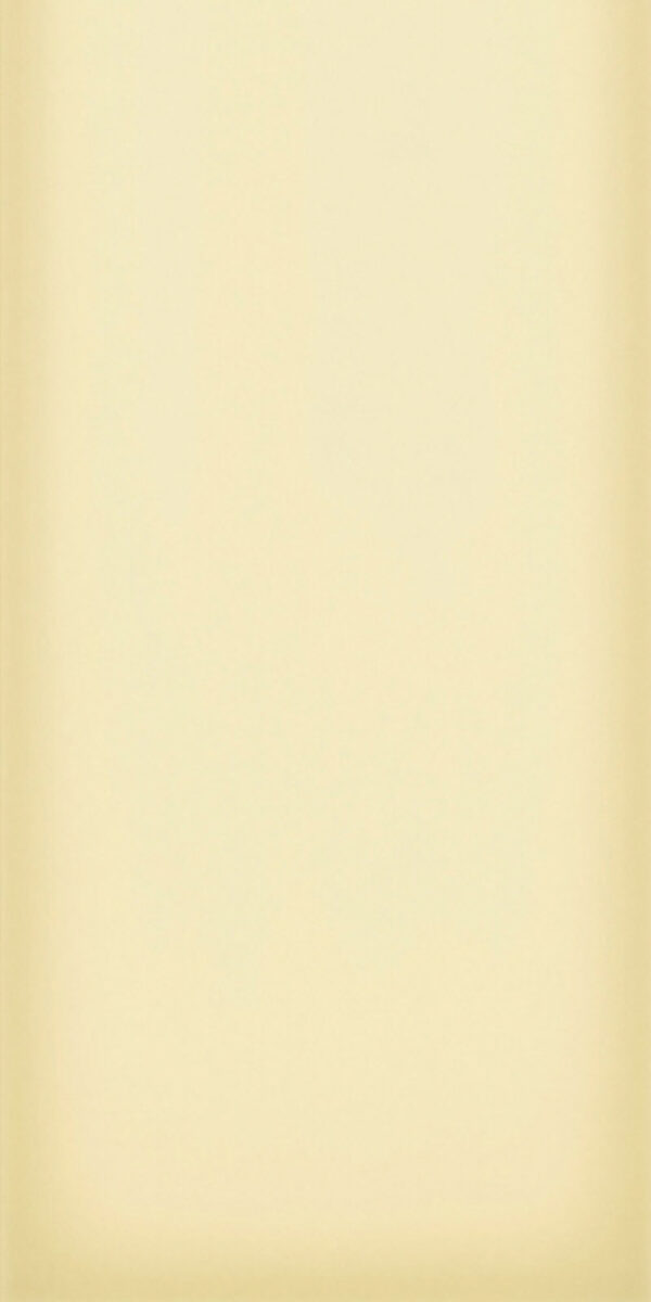 Slide Sand 4 x 12