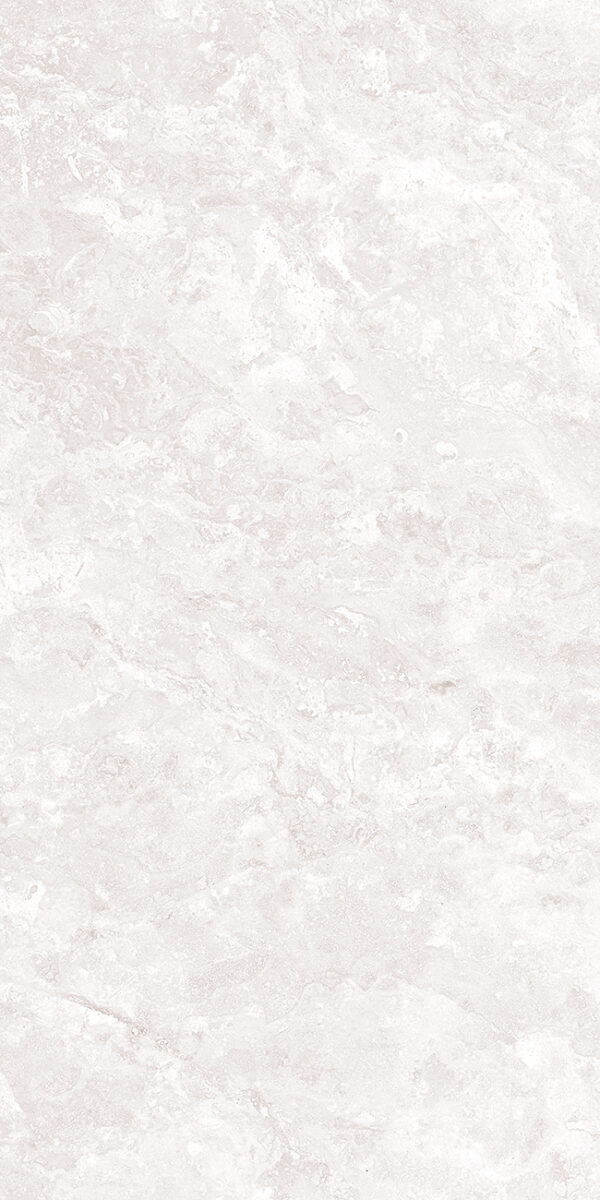 Catalina Gris 12 x 24