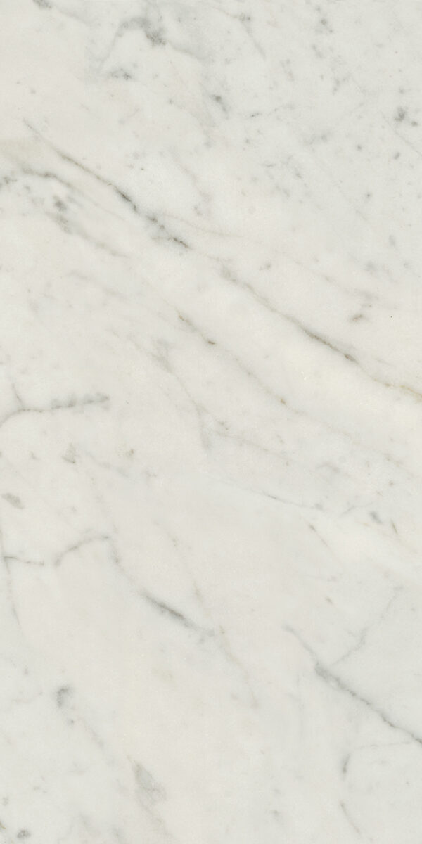 Classic 2.0 Bianco Carrara 12 x 24
