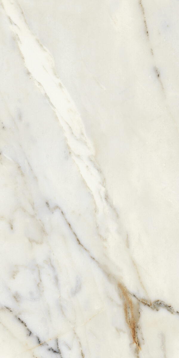 Classic 2.0 Calacutta Oro 12 x 24