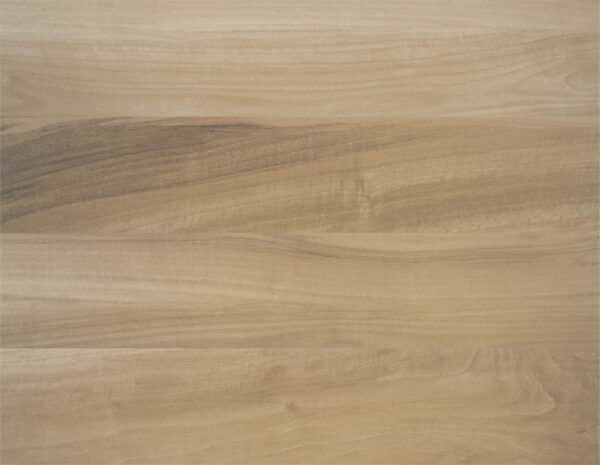 New Forest Araucaria Clara 8 x 40