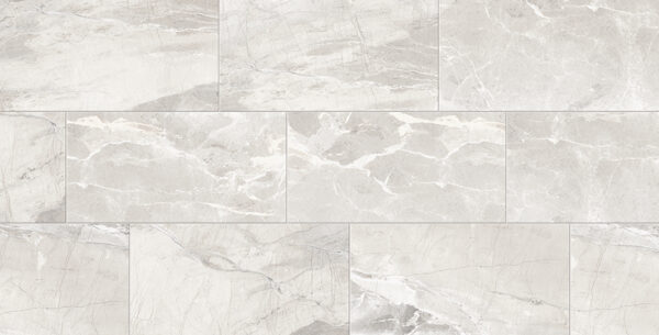 Absolute Absolute White 12 x 24