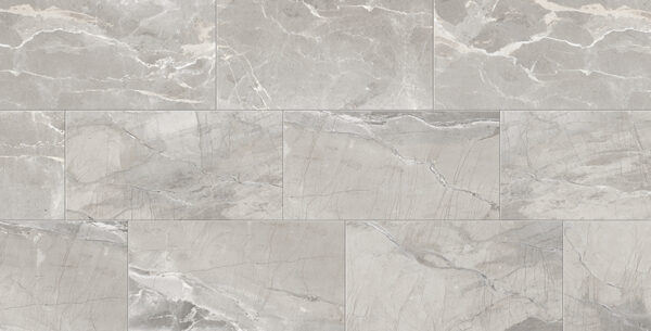 Absolute Absolute Light Grey 12 x 24