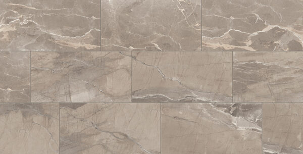 Absolute Absolute Taupe 12 x 24