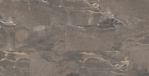 Absolute Absolute Brown 12 x 24