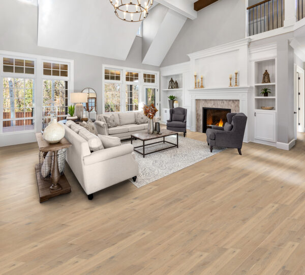 Coast Coquina - Image 2