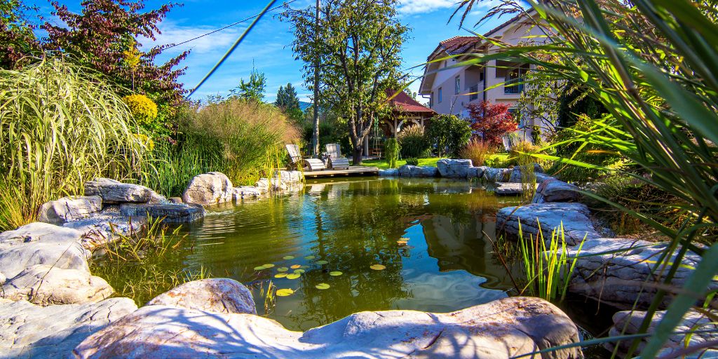 Natural pond in residential backyard