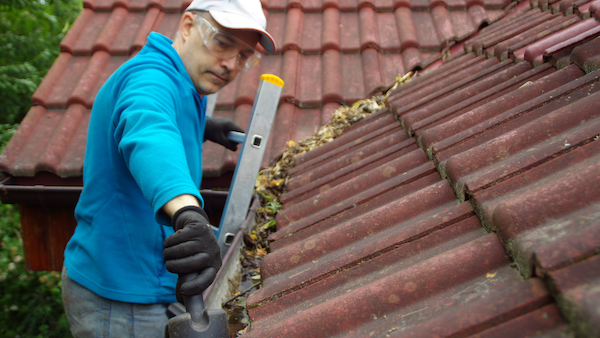 Stock photo of someone working outside, raking leaves, etc