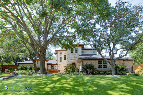 GrassTex synthetic turf on residential lawn