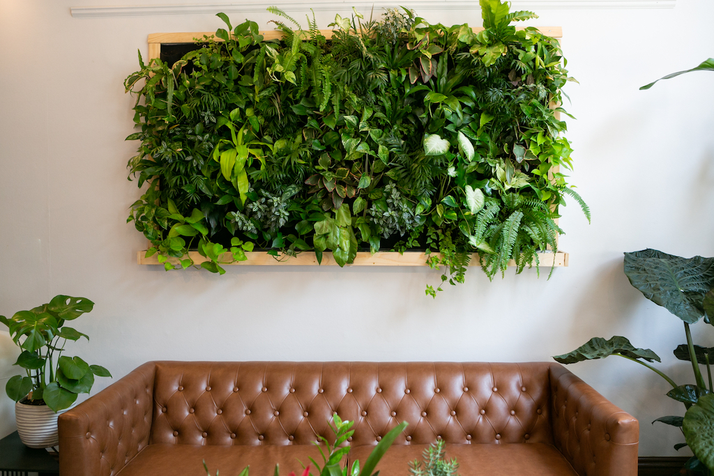 brown couch in a plant focused design room