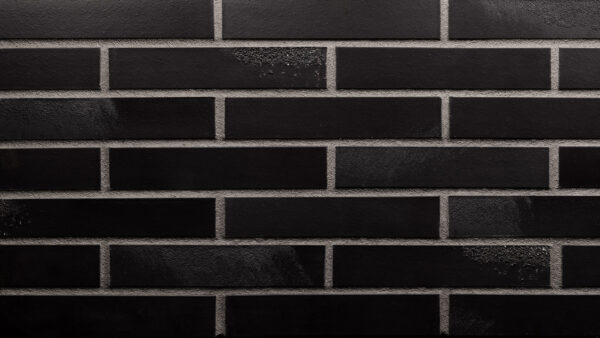 Black Beauty - Norman - Quasi Glazed
