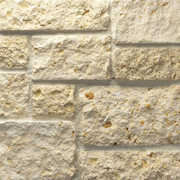Texas Shell - Limestone - Stonebrook