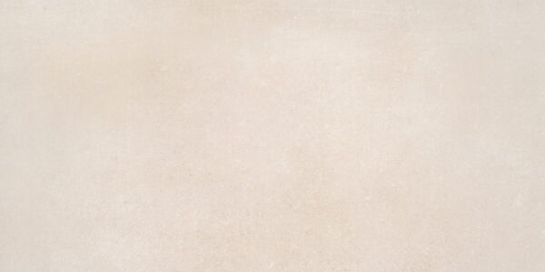 Belgique Sea Shell 12 x 24