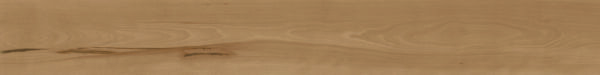 Log Fenice