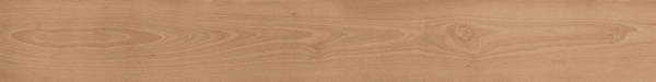 Log Darsena *