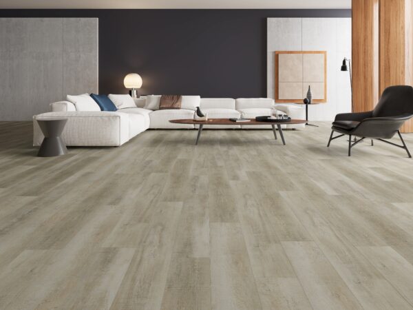 Heritage Grand Delano - Image 2