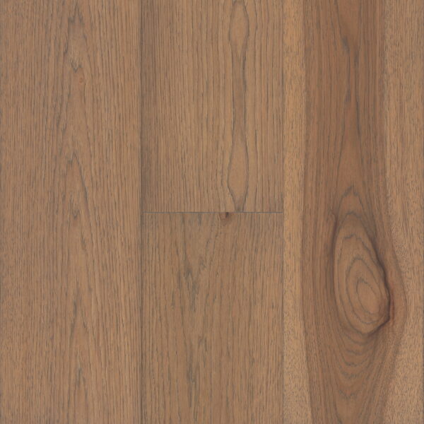 Rustic Charm Parchment