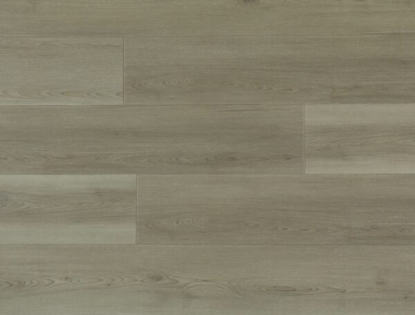 Heritage Serene Lunar Eclipse