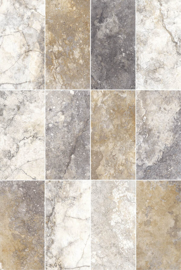 Solumbria Multicolor