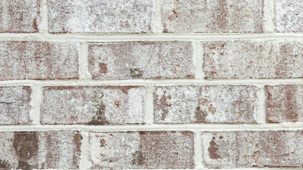 Monaco - US Brick