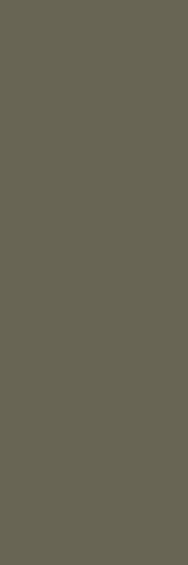 Carrollton Collection Khaki 4 x 16