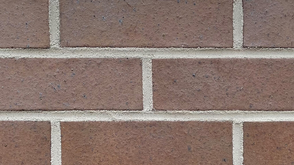 Medium Ironspot