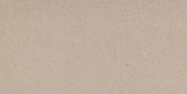 Reverence Focus Clay 12x24