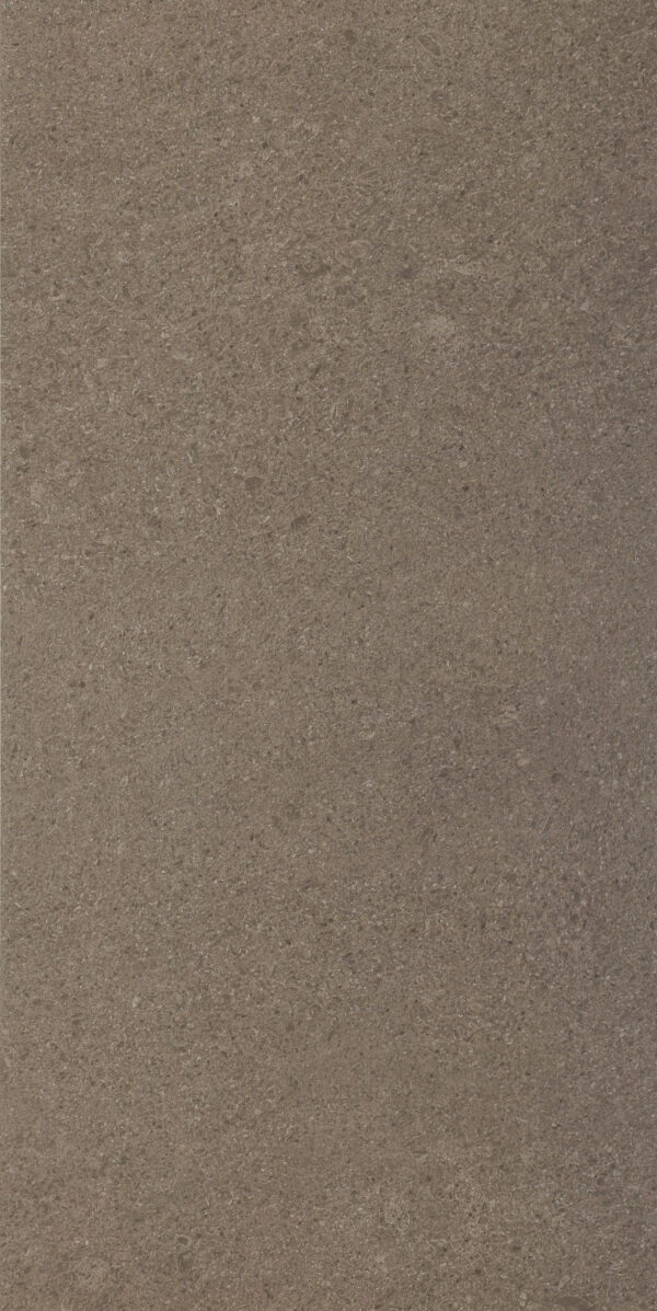 Reverence Adore Brown 12x24