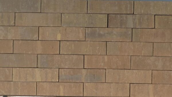 Test Brick - Modular - Heritage - 45,760 (qty)