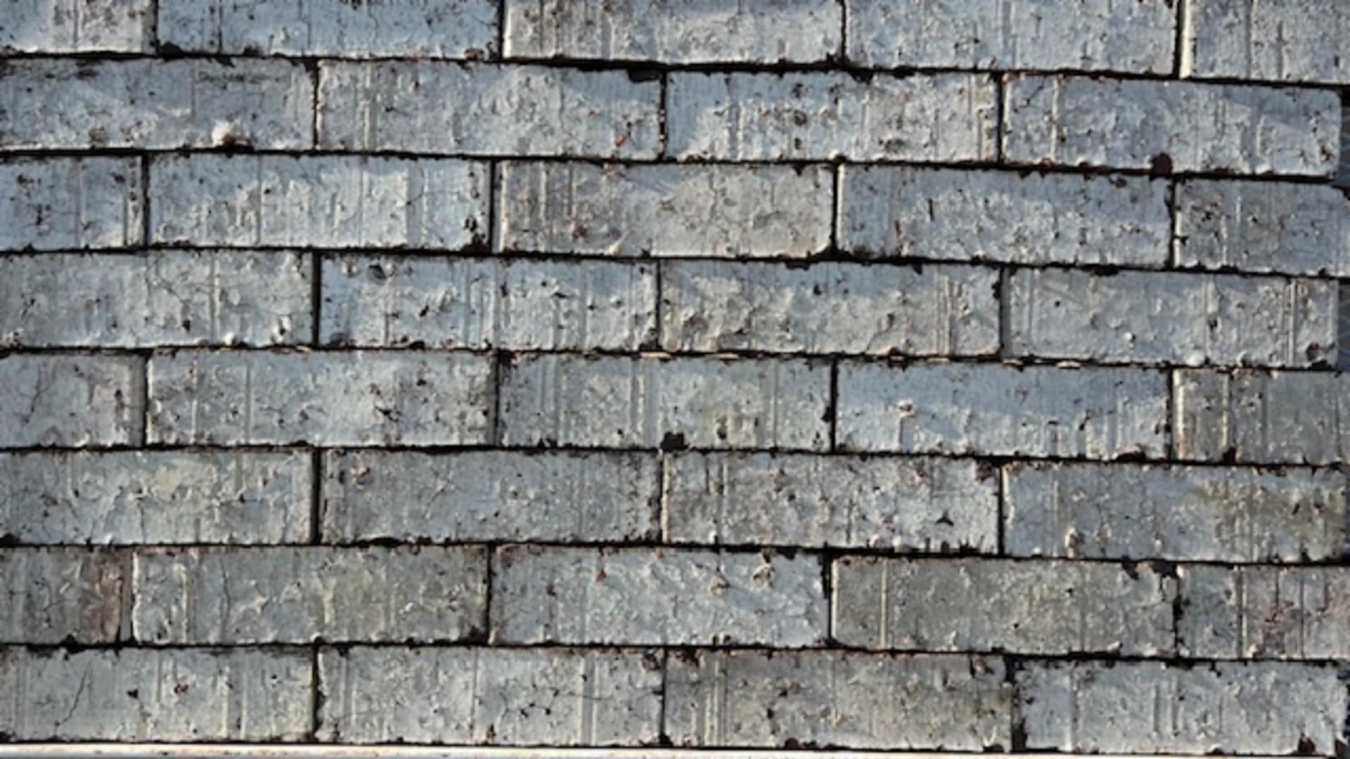 Saltgrass - King - Heritage - lot 23068