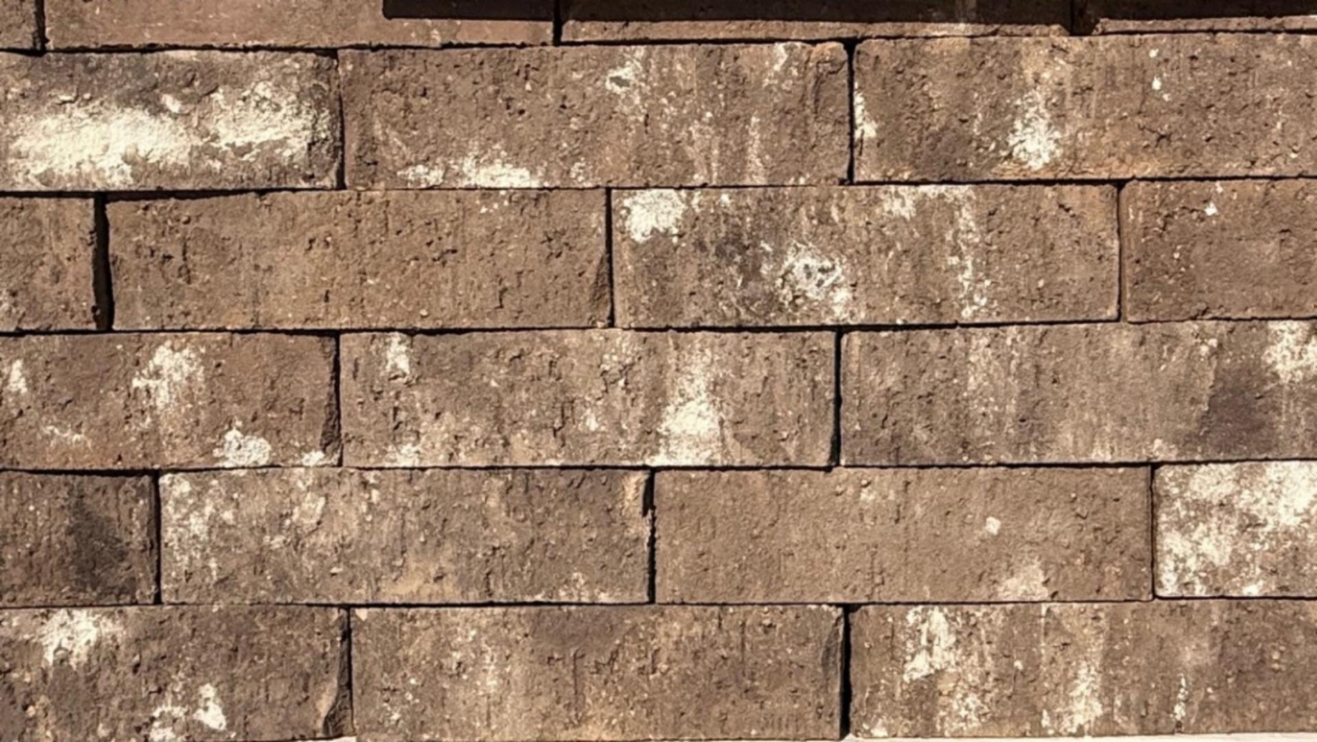 Special Blend - King - Heritage - lot 26-308-SB