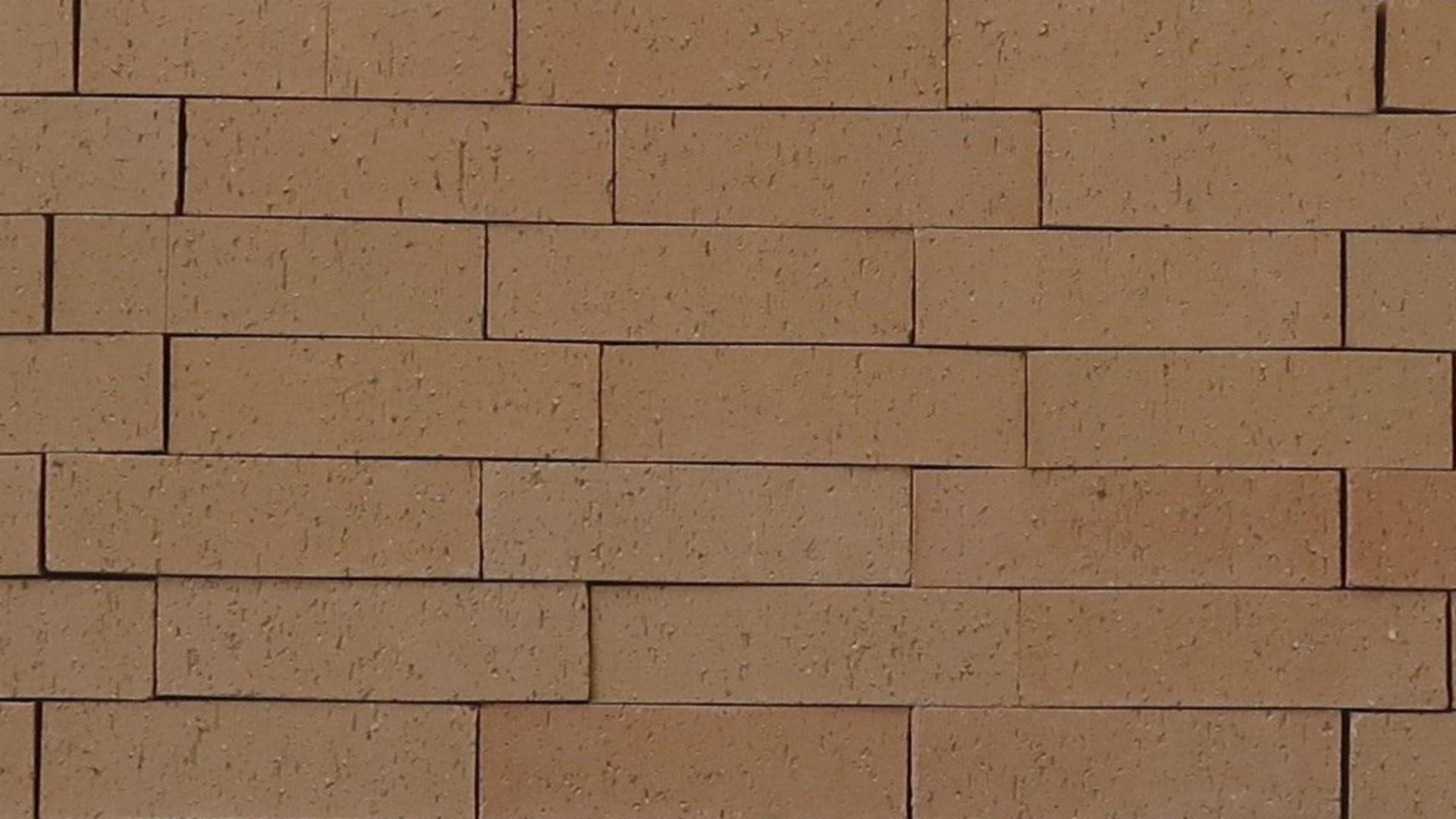 Cactus Flower - King - Blade Cut - lot 24019BCT