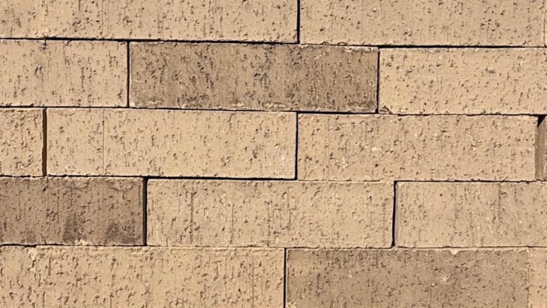 Special Blend - King - Heritage - lot 26-707