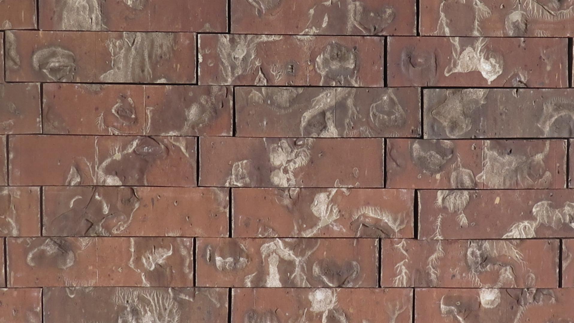 Test Brick - King - Heritage - lot ENP25123