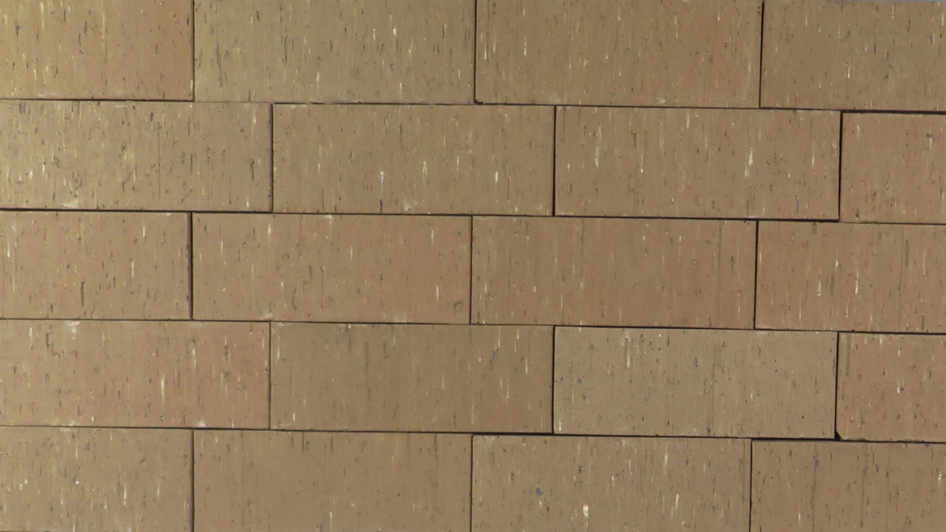 Cinnamon Brown - Estate - Velour - lot 201224L