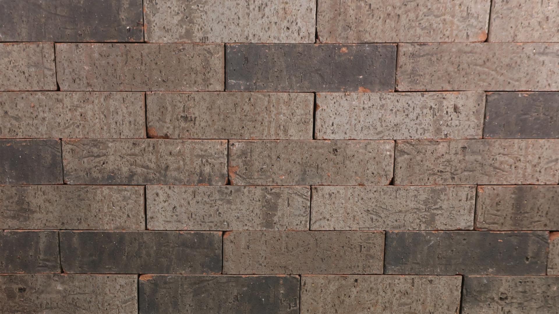 Special Blend - King - Heritage - lot SFP-26-7