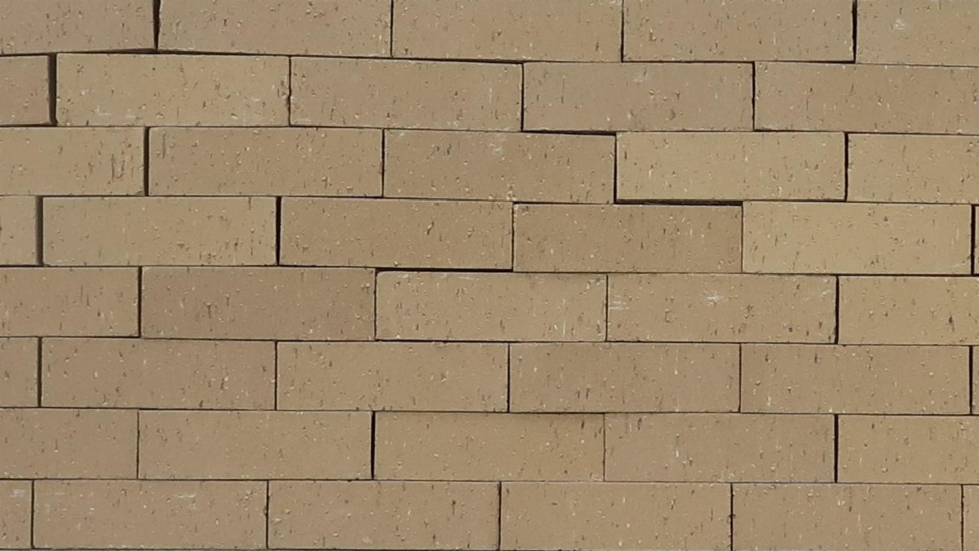 Dovetail - Modular - Blade Cut - lot 24001