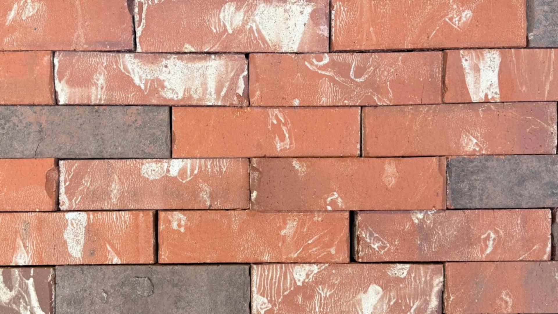 Concordia - King - Heritage - lot 26-320-SB