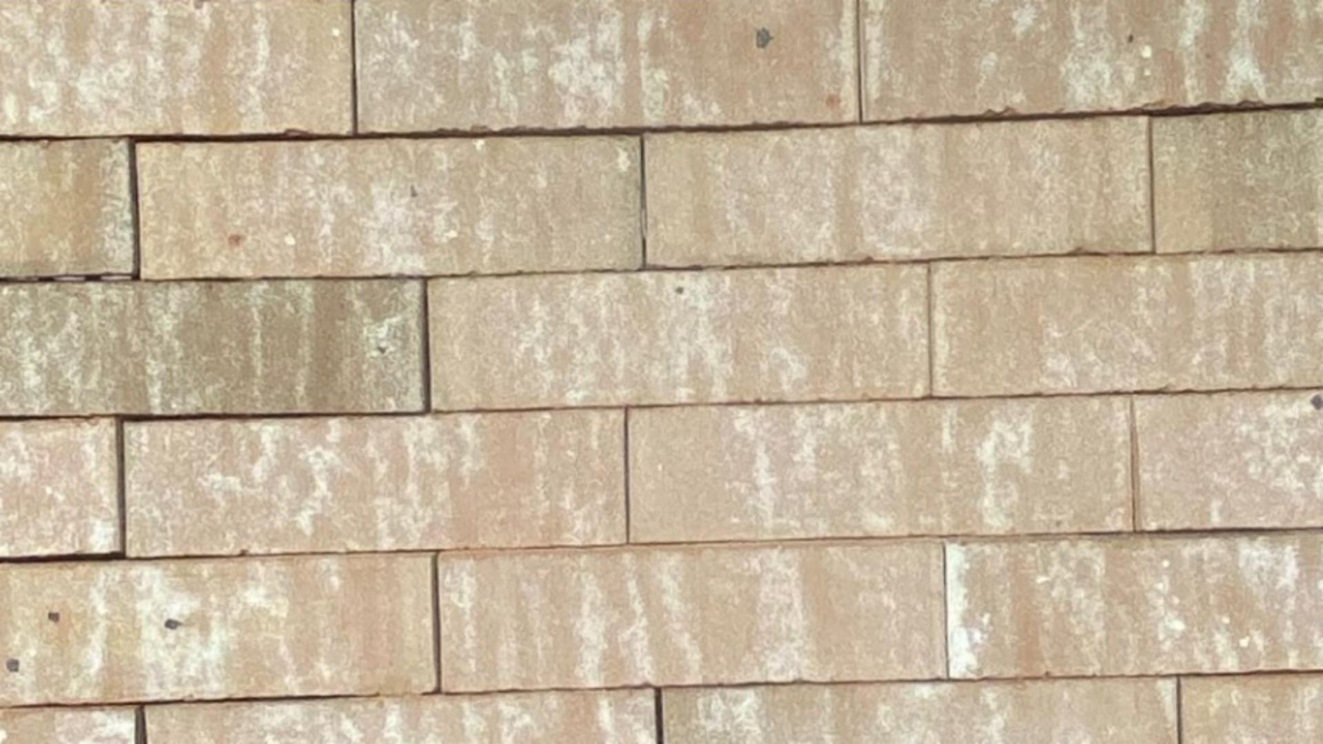 Colonial Frost - King - Heritage - lot 26-716-SB