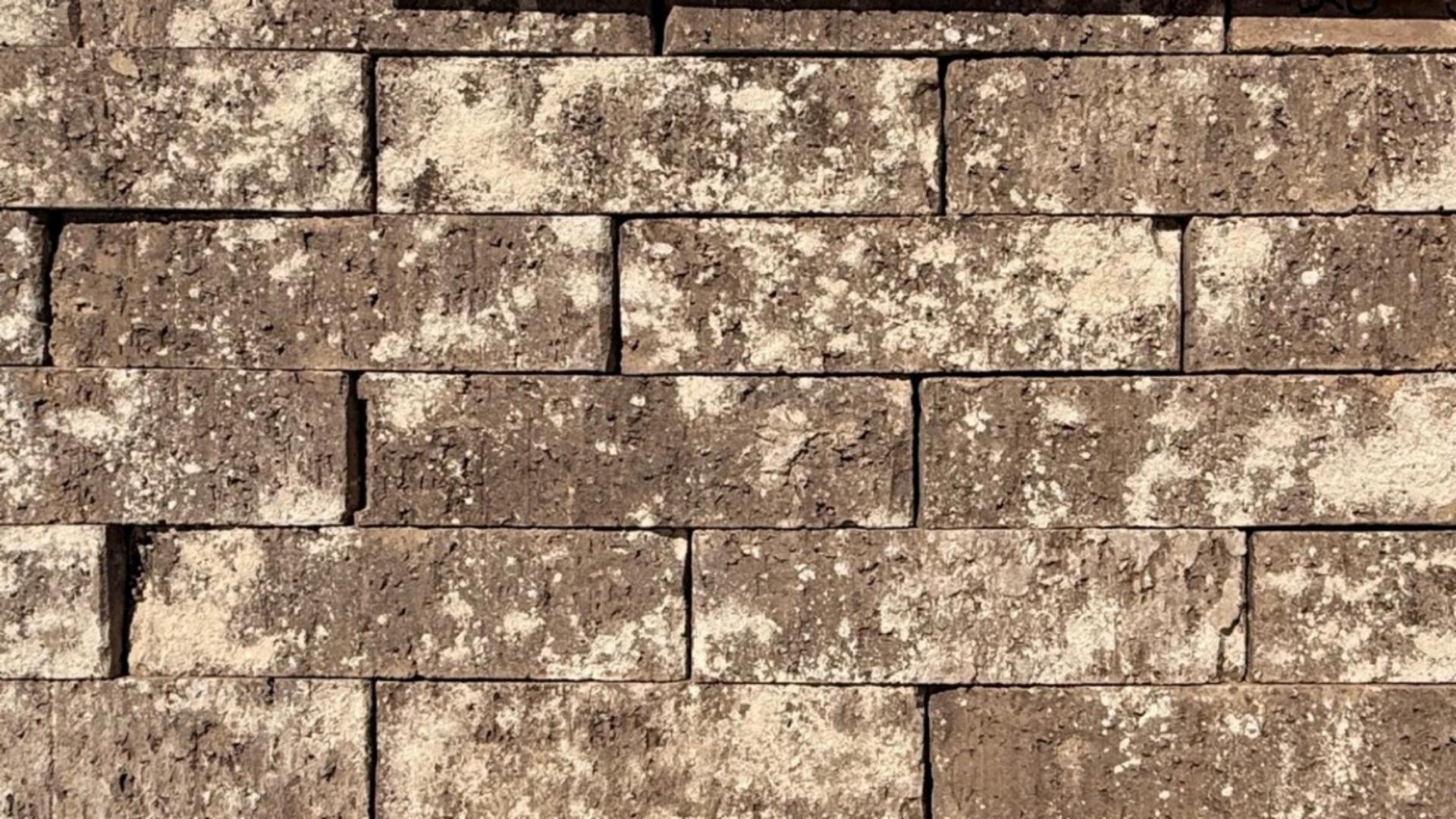 Special Blend - King - Heritage - lot 26-315-SB