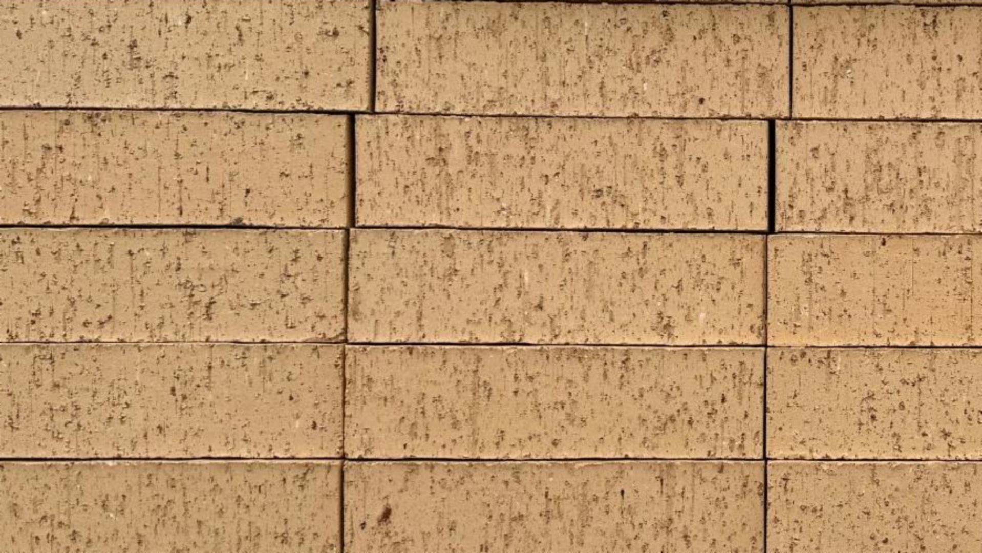 Special Blend - King - Heritage - lot 26-717